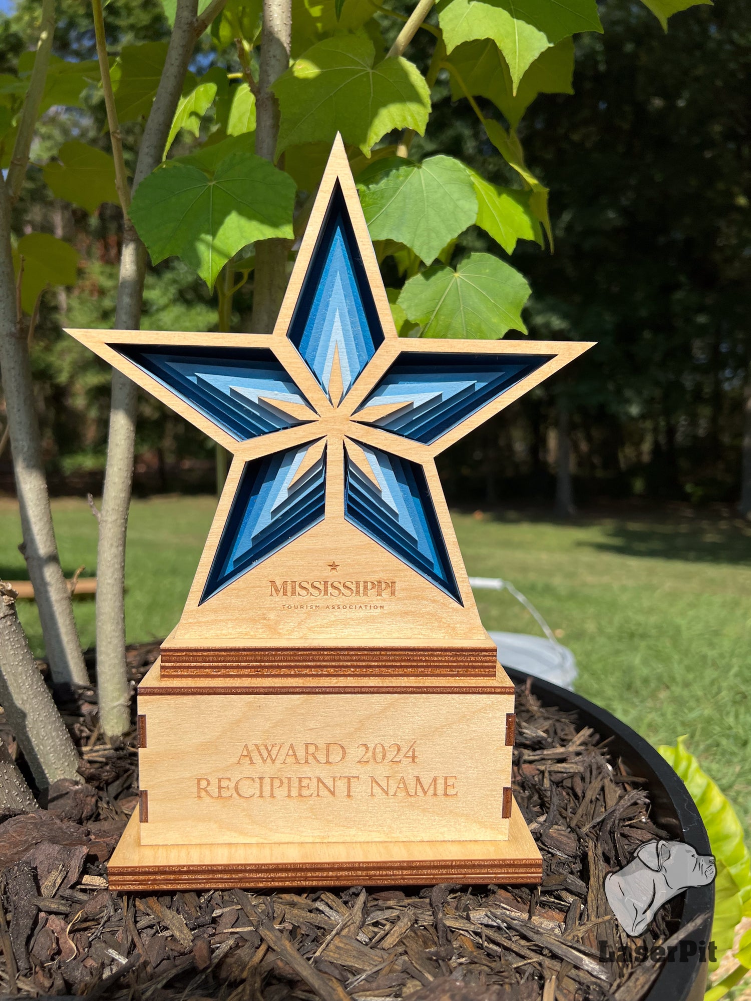 Custom Awards